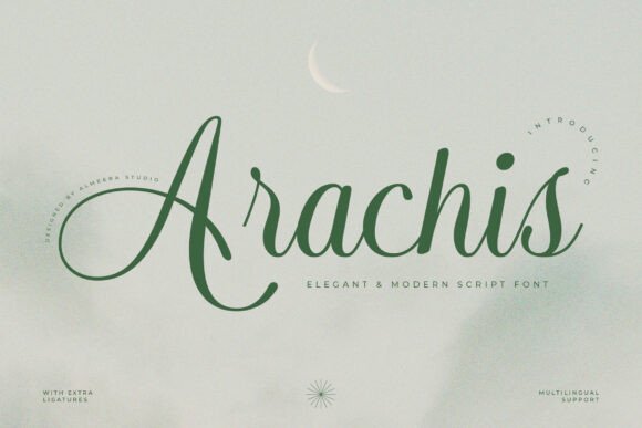 Arachis: A Modern Script Font for Handmade Brands